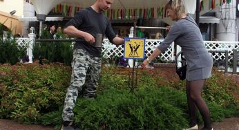 Сделать селфи, купить цветы и покормить голубей. В Гродно устанавливают очередную партию необычных дорожных знаков