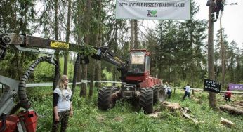 Польшу обяжут платить 100 тыс евро ежедневно за вырубку в Беловежской пуще