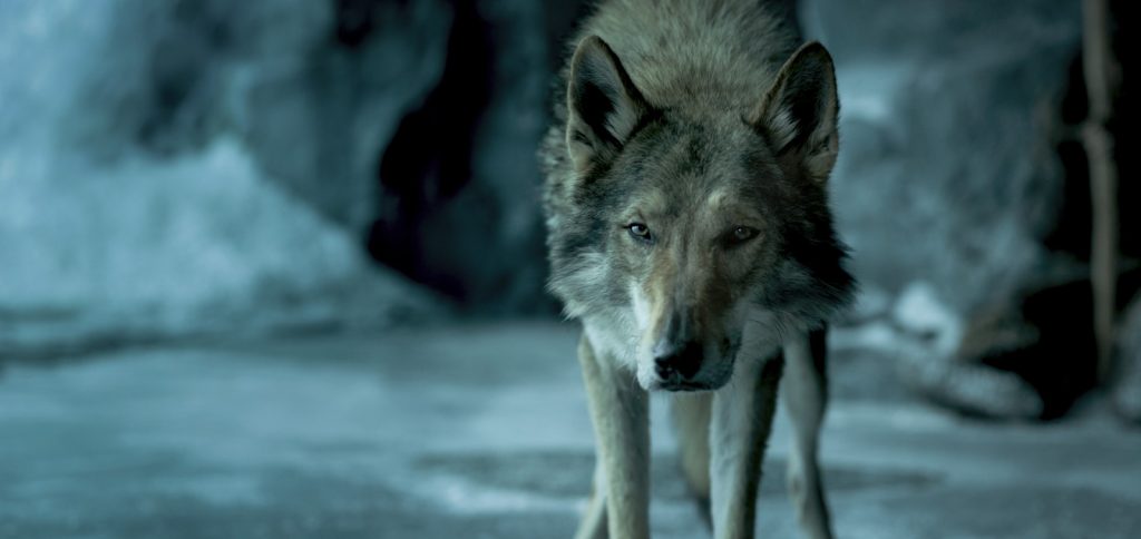 «Альфа». Когда смотреть только ради пейзажей Alpha 2018 movie