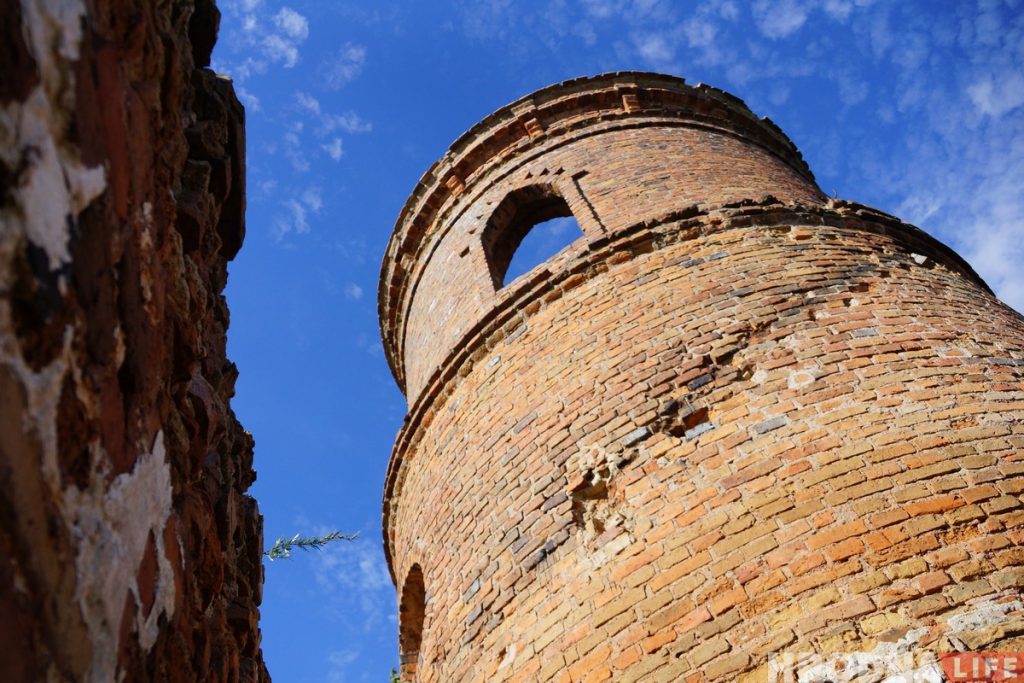 Воздушные замки и патриотические котики. Как активисты пытаются восстановить дворец Хрептовичей в Щорсах