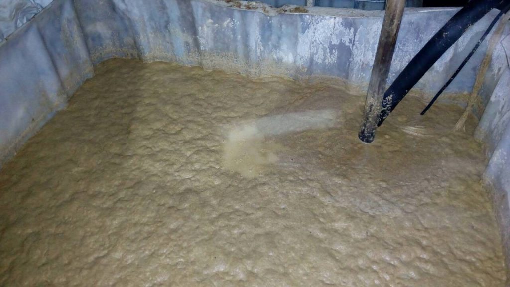 В лесу Гродненского района изъяли 140 литров самогона и три тонны браги