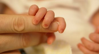 Первую попытку ЭКО в Беларуси сделают бесплатной