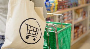 Интерактивную Zero waste выставку впервые покажут в Гродно