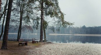 На озере Белое в Гродненской области появится зона отдыха