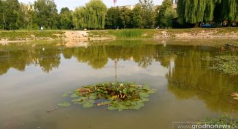 «Гродненская правда» опровергает «экологическую катастрофу» в парке воинов-афганцев