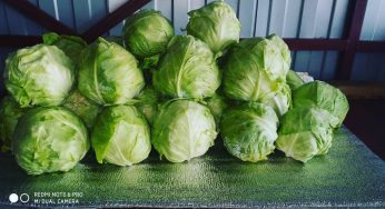 Instagram СССР-style: что постят в своих аккаунтах госорганизации