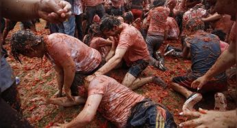 В суботу в Ивье устроят битву помидорами