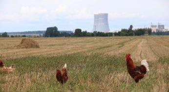 Запуск первого из двух блоков БелАЭС снова перенесли: на следующий год