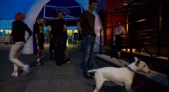 В Гродно открылся бар Crazy Dog: смотри фото с первой вечеринки
