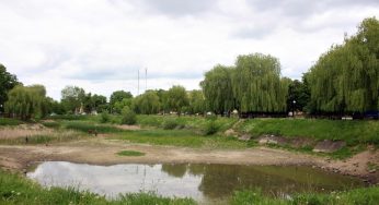 Гродненцы предлагают благоустроить еще один парк и создали петицию