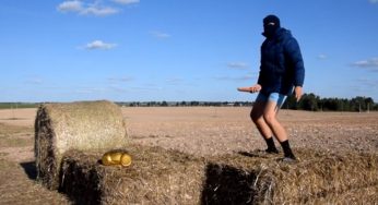 Белорусы сняли странный клип о Дожинках — «главном празднике страны»