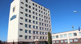 Мужчина продал 250 щенков под видом немецкой овчарки. Говорил, что продает их силовым структурам