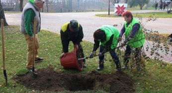 «Отдал должок Наталье Канюк». Ботанический сад в парке Жилибера пополнился новыми деревьями