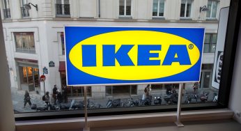 Смотрите, что гродненские компании могут продавать IKEA