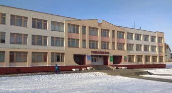 «Превысила служебные обязанности, идет разбирательство». В гомельской гимназии учительница «наказала» третьеклассницу — ей накладывали швы