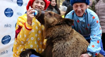 С блинами и медведицей: в Гродно провели зиму массовыми гуляниями в Пышках