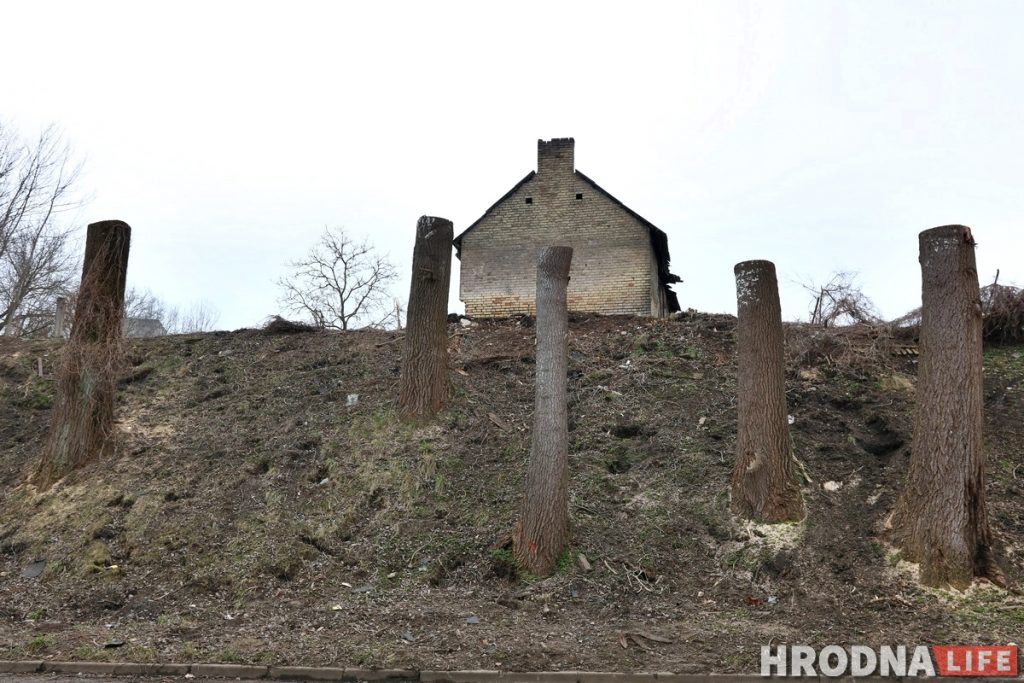 Участок с видом на замки: зачем на Левонабережной спилили старые тополя?