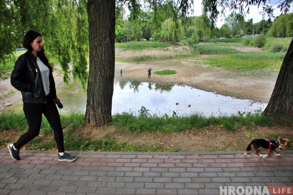 Пишут, что пруд на Репина засыпают. Комментирует депутат