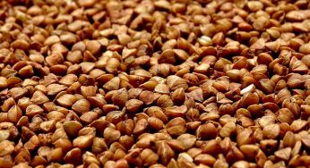 Беларусь собирается на 100% обеспечивать себя собственной гречкой. С импортной — проблемы