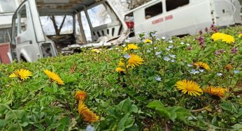 Где в Гродно снять кино про коронавирусный постапокалипсис (ФОТО)