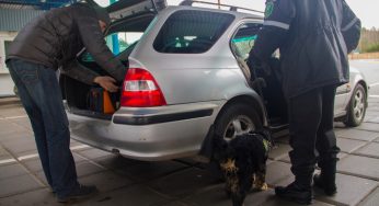 Украинцев не пропускают через белорусскую границу. Случаи участились