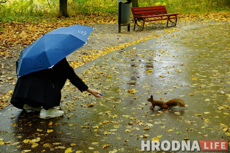 Зачем белкам забор, а колясочникам - пандусы. Коммунальники то слышат Юлию Коледу, то не слышат, а она все равно пишет Зачем белкам забор, а колясочникам - пандусы. Коммунальники то слышат Юлию Коледу, то не слышат, а она все равно пишет