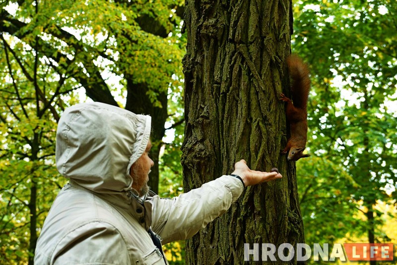 Зачем белкам забор, а колясочникам - пандусы. Коммунальники то слышат Юлию Коледу, то не слышат, а она все равно пишет Зачем белкам забор, а колясочникам - пандусы. Коммунальники то слышат Юлию Коледу, то не слышат, а она все равно пишет