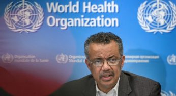 ВОЗ: Беларусь на переломном этапе, незамедлительно нужны новые меры