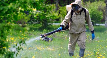 Зоны отдыха в Гродно обработают от клещей. Три дня их нельзя посещать