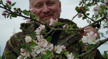 Словил хайп и стал фермером. Программист из Гродно закапывает гречку в землю и выращивает ягоды годжи