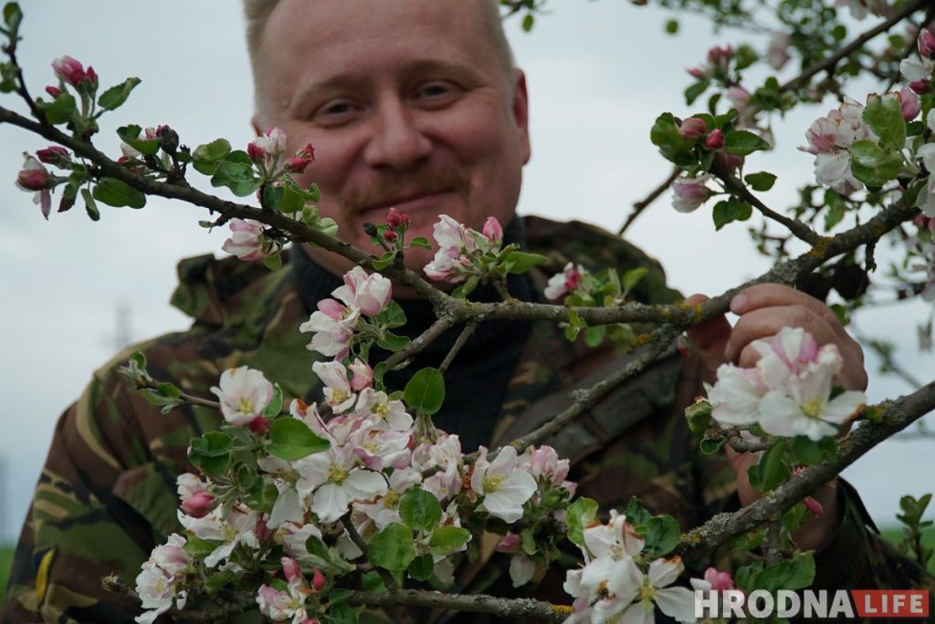 Словил хайп и стал фермером. Программист из Гродно закапывает гречку в землю и выращивает ягоды годжи