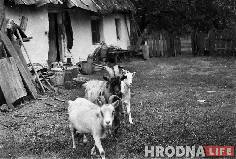 Наталия Дорош женский роман времен пандемии