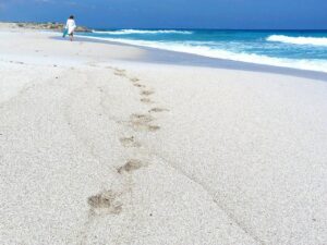 Как беларусы отдыхали в стране летом и куда стоит поехать, как только откроются границы