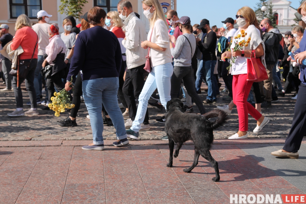 Наступили коленом на шею и душили. Как выглядели задержания в Гродно 20 сентября