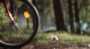 В Гродно обновляют велодорожки и велоразметку. Сначала — в Пышках и на маршруте “Шляхам Тызенгауза”
