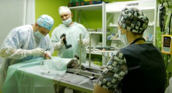 В Лиде впервые в Беларуси сделали операцию по протезированию коту