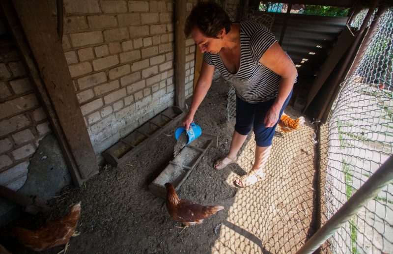 «Не представляю, как мама там держится». Пенсионерку из Обухово задержал КГБ по подозрению в терроризме Галина Дербыш. Фото: "Радыё Свабода"