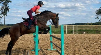 Выдаткі выраслі ў некалькі разоў: як даюць сабе рады гродзенцы пасля закрыцця конна-спартыўных школ