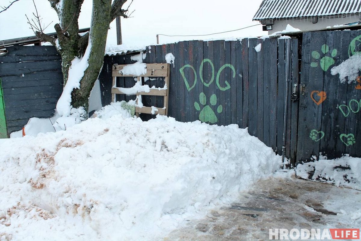 Столько снега убрали волонтеры с участка и вольеров