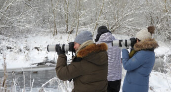 Любите птиц и фотографировать? Участвуйте в чемпионате по фотобёрдингу вместо нас