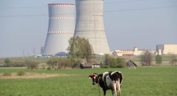 На БелАЭС появится мобильный сканер радиации