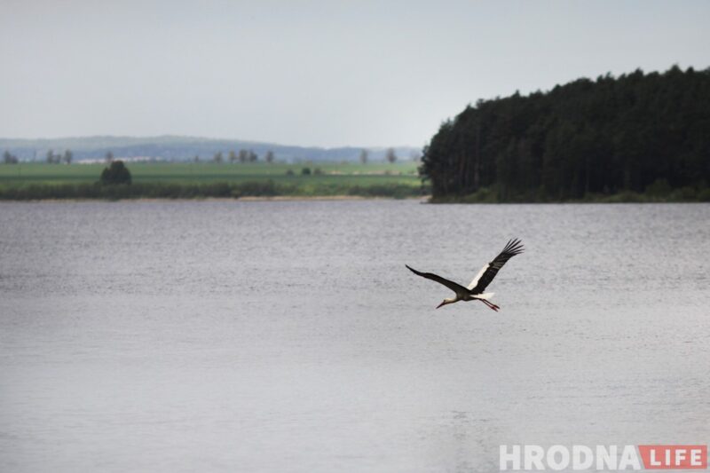 водохранилище Гродненской ГЭС отдых