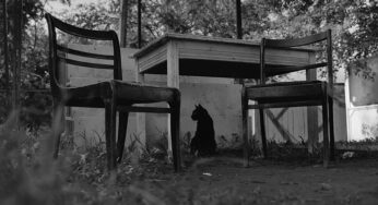 «Кошки города Гродно» покоряют Москву. Наталья Богданович и Сергей Пушкин подготовили фотовыставку о «родственниках человека по кошачьей линии»