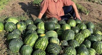 Байки с дачи и рецепты заготовок от Николая Таранды