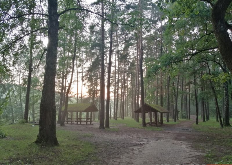 отдохнуть с мангалом в Гродно, шашлыки