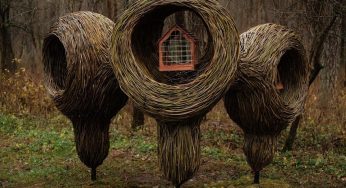 Реальная помощь, самообман или просто украшение? В лесопарке Пышки открыл “кафе” для птиц