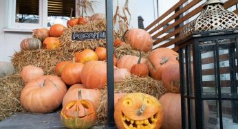 Гродненский облисполком запретил Хэллоуин: чиновники звонят частникам с угрозами