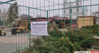 Не продают, а только показывают. На Советской в Гродно работает необычный елочный базар