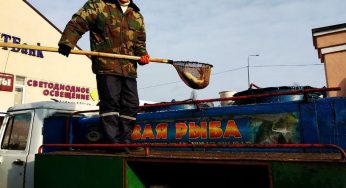 Что купить на Скидельском рынке к Новогоднему столу