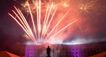 Почему в Новый год лучше воздержаться от запуска фейерверков, чтобы не навредить животным и окружающей среде